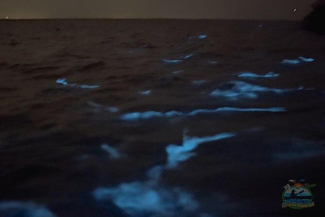 Florida Bioluminescence Clear Kayak tour/ Beacon 42 (Titusville) - Key Points