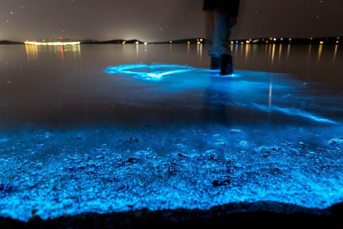 Florida Bioluminescence Kayaking Tour (Titusville) - Florida Bioluminescence Kayaking Tour (Titusville): A Natural Glow in the Night