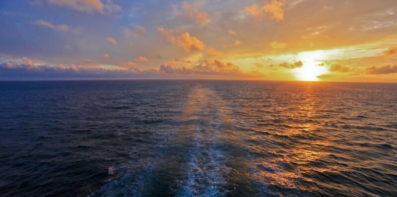 Florida: Emerald Coast Sunset & Dolphin Cruise with Guide - Why This Tour Offers Great Value