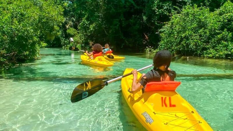 Florida: Emerald Cut Kayak Adventure - Practical Details: What to Expect and What to Bring
