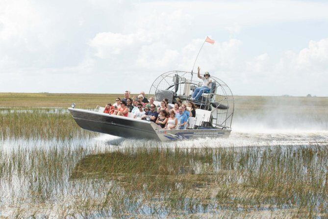 Florida Everglades Airboat Adventure and Wildlife Encounter - Getting There and What to Expect