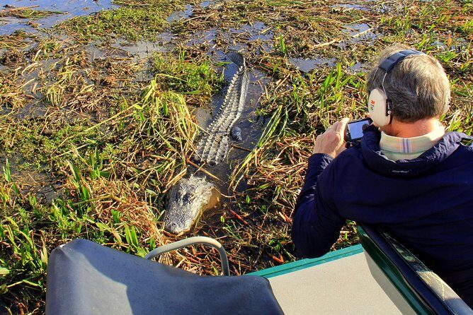 Florida Everglades Airboat Tour and Wild Florida Admission with Optional Lunch - A Deep Dive into the Wild Florida Experience