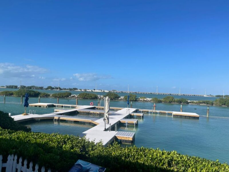 Florida Keys: Dockside Dolphin Experience - Who Would Love This Tour?