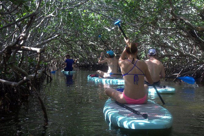 Florida Keys Eco Tour: Snorkel, Kayak, Lunch + Transportation! - An In-Depth Look at the Florida Keys Eco Tour
