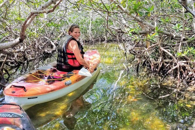 Florida Keys Eco Tour: Snorkel, Kayak, Lunch + Transportation! - FAQ: Your Practical Questions Answered