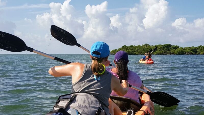 Florida Keys: Full-Day Kayak + Snorkel Coral Reef Adventure - The Sum Up