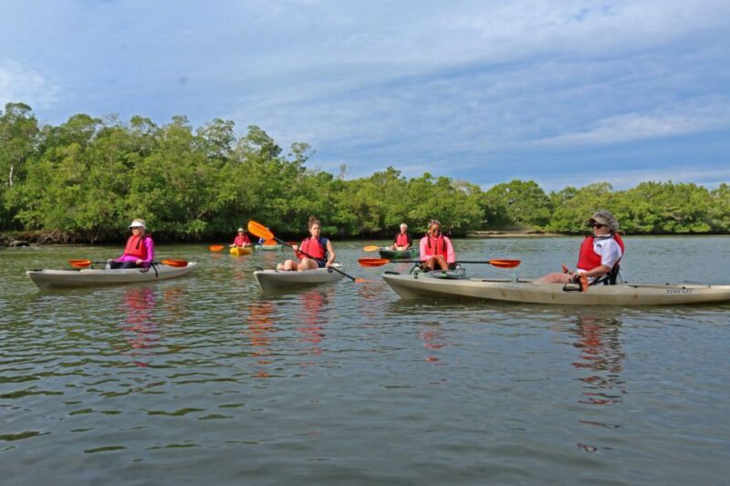 Florida Keys: Key West Kayak Eco Tour with Nature Guide - Wildlife and Ecosystem Highlights