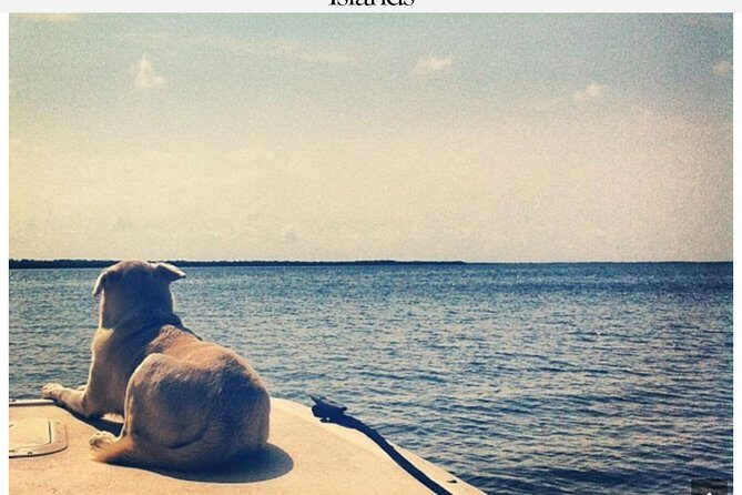 Florida Keys Tour and Private Transportation service - Authentic Voices from Reviewers