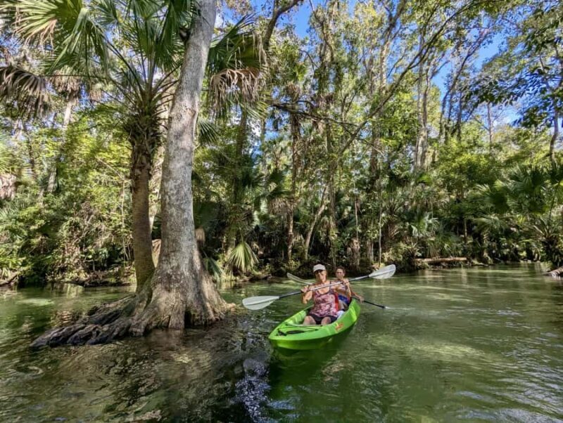 Florida: Rock Springs Run Clear Kayak Adventure - An In-Depth Look at the Rock Springs Run Kayak Tour