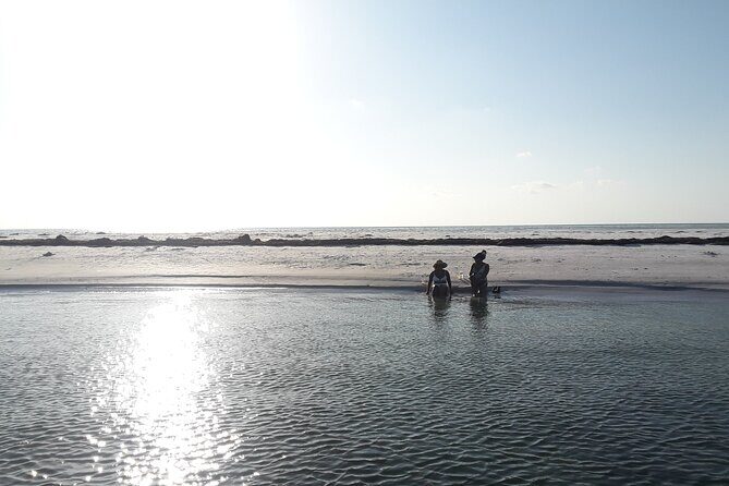 Florida's Beautiful Beaches and Waterways Private Tour - The Experience in Detail