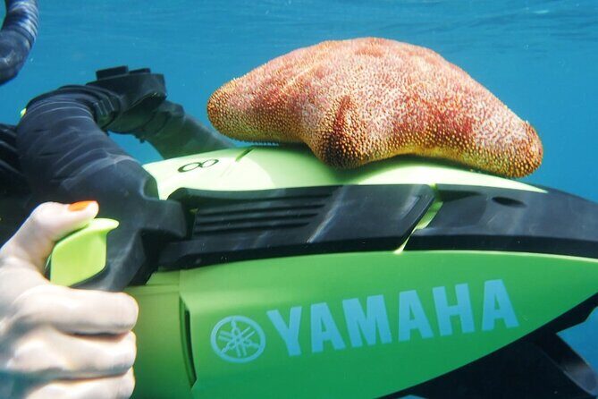 Flotation Therapy Rental 24 Hr Float Wetsuit, Goggle, Headphone - Key Points