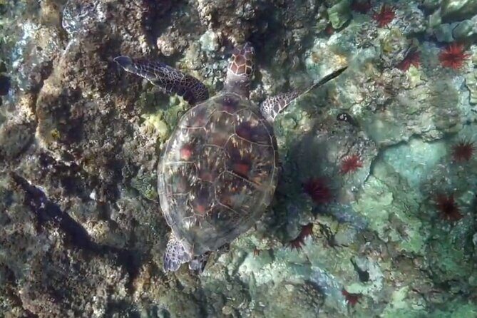 Flotation Therapy Rental 24 Hr Float Wetsuit, Goggle, Headphone - Frequently Asked Questions