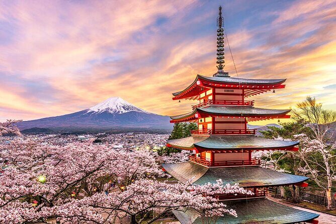 Flower Viewing at Kawaguchiko & Mt. Fuji Day Tour with Kusa Mochi - Key Points