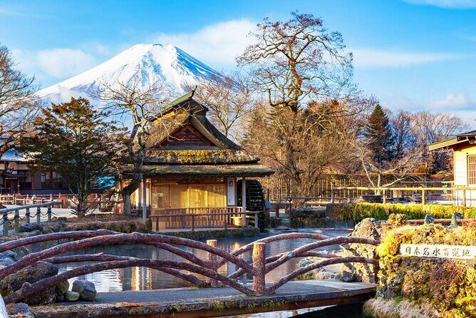 Flower Viewing at Kawaguchiko & Mt. Fuji Day Tour with Kusa Mochi - Who Should Consider This Tour?