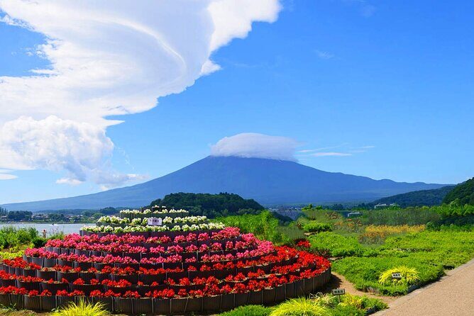 Flower Viewing at Kawaguchiko & Mt. Fuji Day Tour with Kusa Mochi - The Sum Up: Is This Tour Right for You?