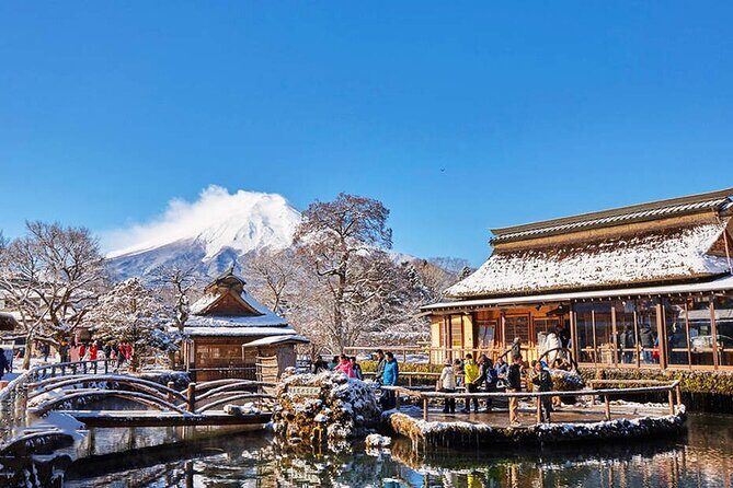 Flower Viewing at Kawaguchiko & Mt. Fuji Day Tour with Kusa Mochi - FAQ