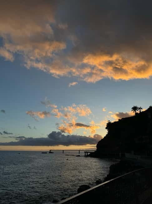 Flowers Of The Forest, Câmara de Lobos 4x4 Jeep Tour - Key Points