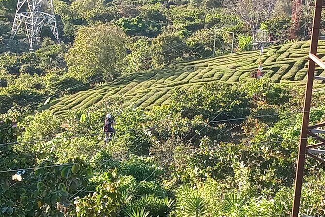 Flowers Route : Culinary Experiences, Charming Towns, Handicrafts - Final Thoughts