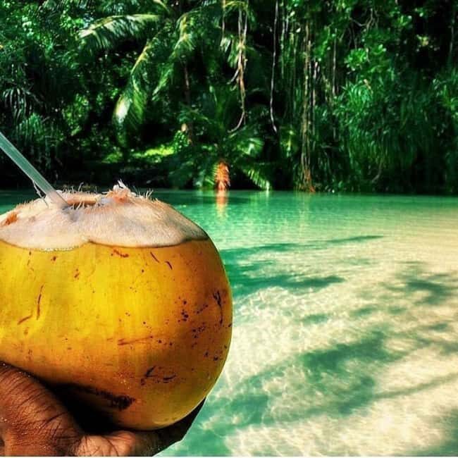 Floyd's Pelican Bar Private Tour - Who Should Consider This Tour?