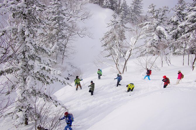 Fluffy New Snow and the Earth beating, Goshougake Oyunuma Snowshoeing Tour - Final Thoughts