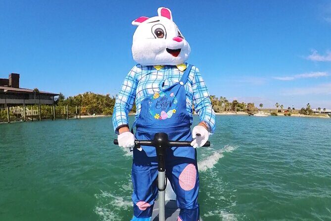 Fly Above Ocean Adventure on a Flite Scooter! - An In-Depth Look at the Flite Scooter Adventure