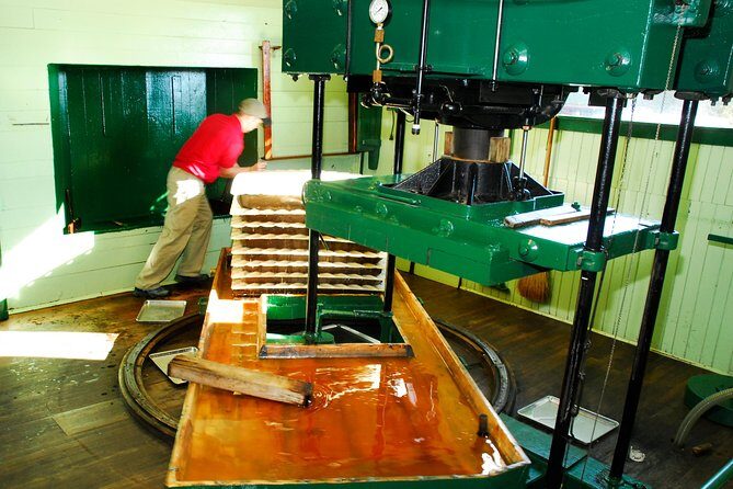 Fly Creek Cider Mill & Orchard - Private Tour with Owner - Exploring the Fly Creek Cider Mill & Orchard Private Tour: What You Can Expect