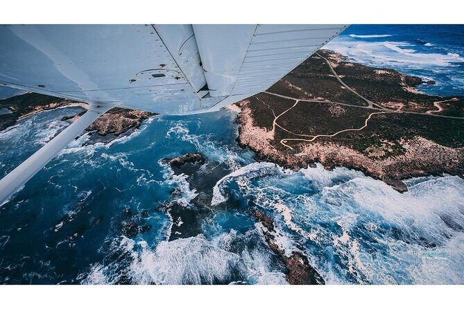 Fly to Rottnest Island by Plane - Who Will Love This Tour?