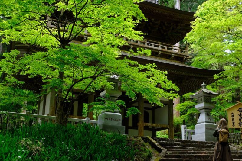 Fm Odawara: Forest bathing and onsen with healing power - Key Points