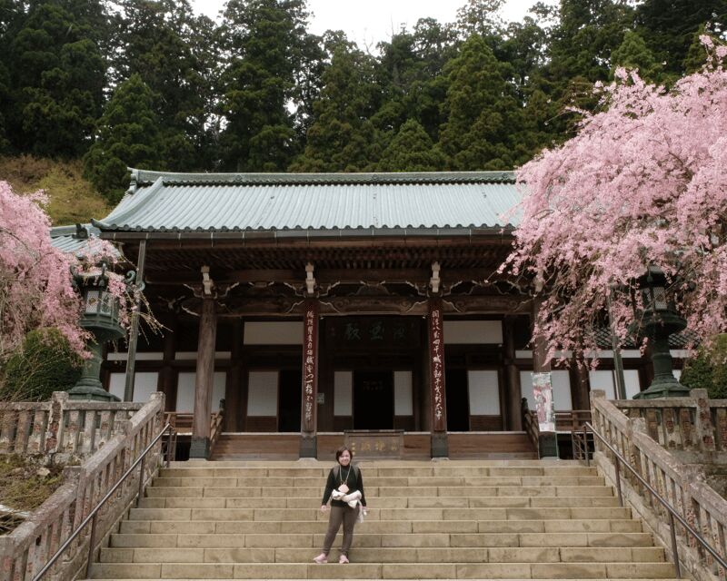 Fm Odawara: Forest bathing and onsen with healing power - Final Thoughts