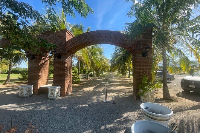 Foco Tonal Sound Vortex Meditation Experience in Los Cabos - An In-Depth Look at the Foco Tonal Sound Vortex Experience