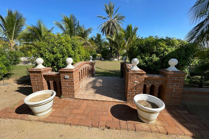 Foco Tonal Sound Vortex Meditation Experience in Los Cabos - The Sum Up