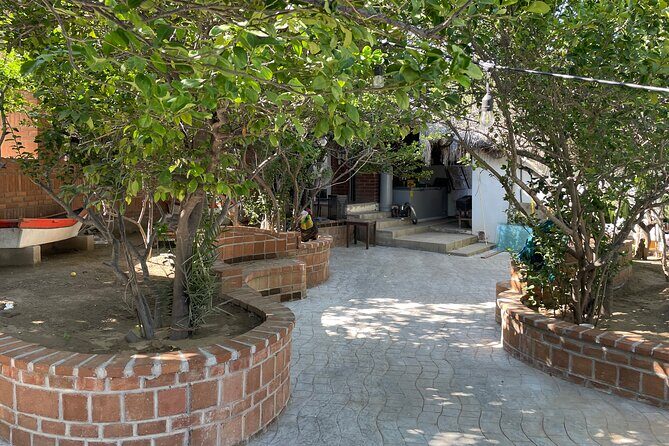 Foco Tonal Sound Vortex Meditation Experience in Los Cabos - FAQ