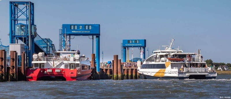 Föhr: Day trip by boat to Hallig Hooge - Seal Watching: A Nature Highlight