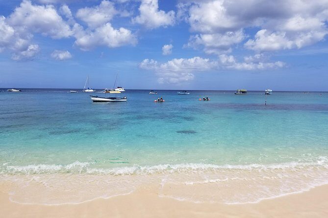 Folkestone Coral Reef Clear Kayak Tour - Exploring the Folkestone Coral Reef Clear Kayak Tour in Detail