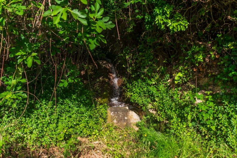 Follow the riverside hiking tour (Small group experience) - FAQ