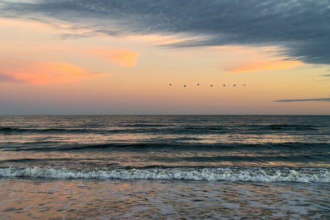 Folly Beach Sunrise or Sunset Photo Walk - Who Should Book This Experience?