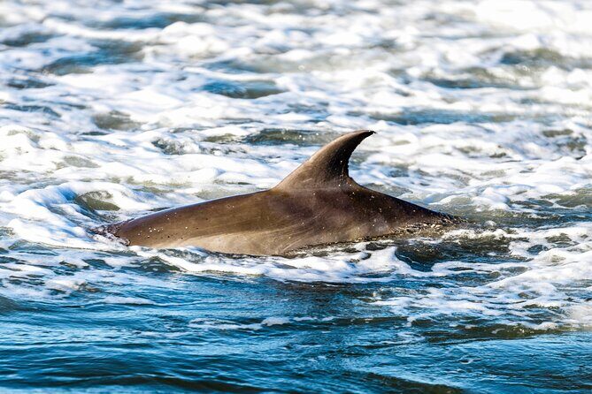 Folly Beach Sunrise or Sunset Photo Walk - FAQ