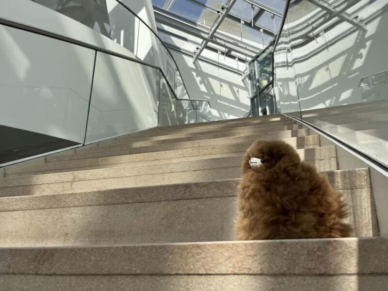 Fondation Louis Vuitton: Ticket Entry & Private Tour - Authentic Feedback from Travelers