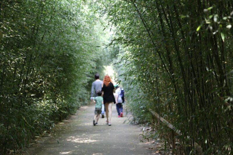 Fontanellato: Labirinto della Masone Full-Day Entry Ticket - Discovering the Wonderland of the Labirinto della Masone
