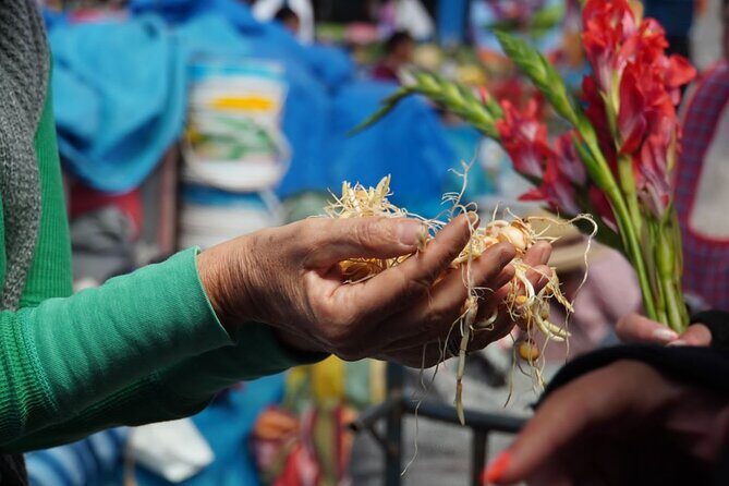 Food and Culture Full day Tour in the Sacred Valley - A Deep Dive into the Sacred Valley Food and Culture Tour
