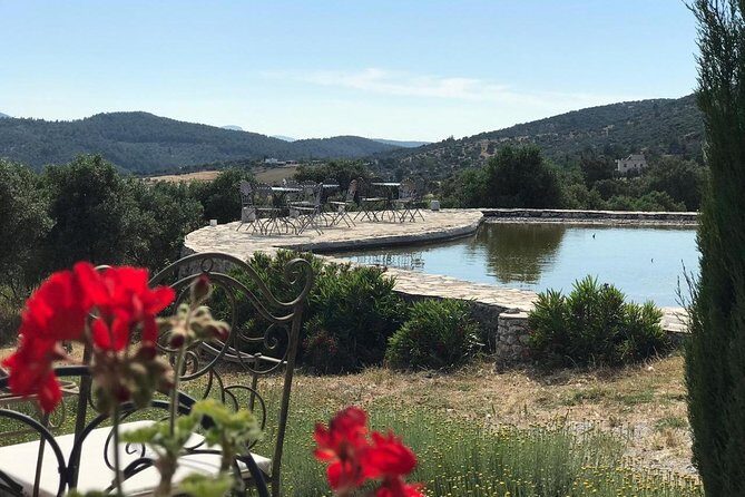 Food and Wine pairing Dinner at Karnas Vineyards Bodrum - A Deeper Look: What This Tour Offers