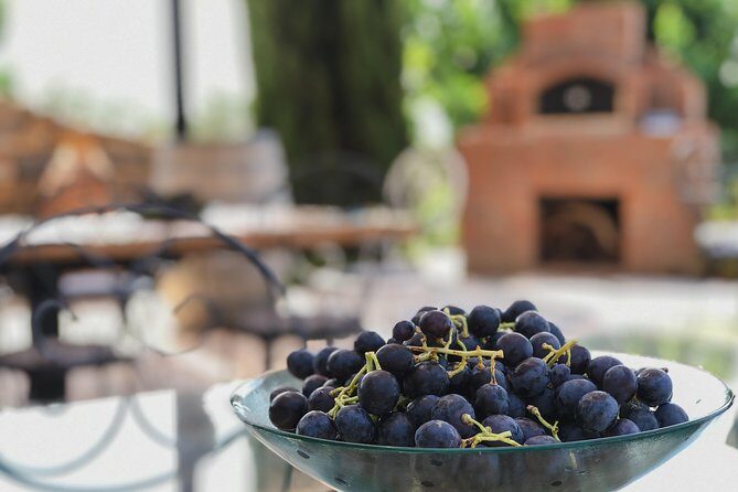 Food and Wine pairing Dinner at Karnas Vineyards Bodrum - Who Would Enjoy This Tour?