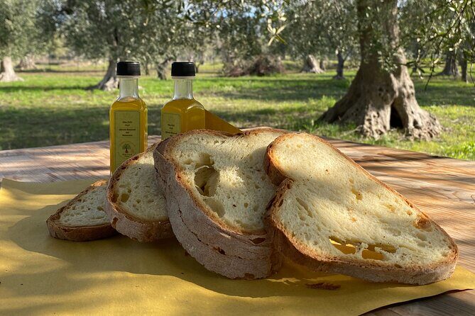 Food and Wine Tour between the Patriarchs Olives and the Oil Temples - A Closer Look at the Heritage and Flavors of Matera