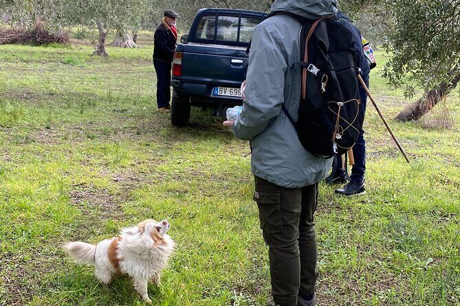 Food and Wine Tour between the Patriarchs Olives and the Oil Temples - FAQs