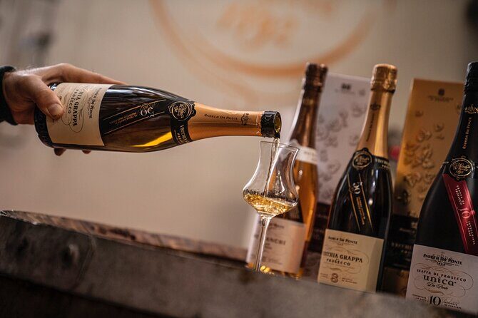 Food and Wine Tour on the Prosecco Hills from Venice - Who Will Love This Tour?