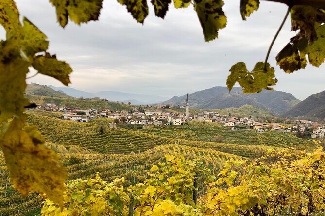 Food and Wine Tour on the Prosecco Hills from Venice - The Sum Up: Who Is This Tour For?