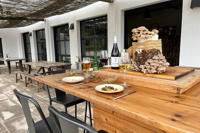Food experience in mushroom cultivation (tour not included) - A Close Look at the Mushroom Tasting Experience in Menorca