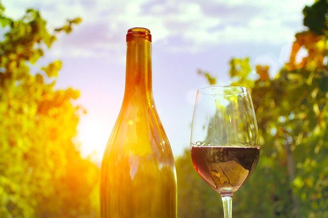 Food Tour Excursion in Provence ! - Practical Considerations for Travelers