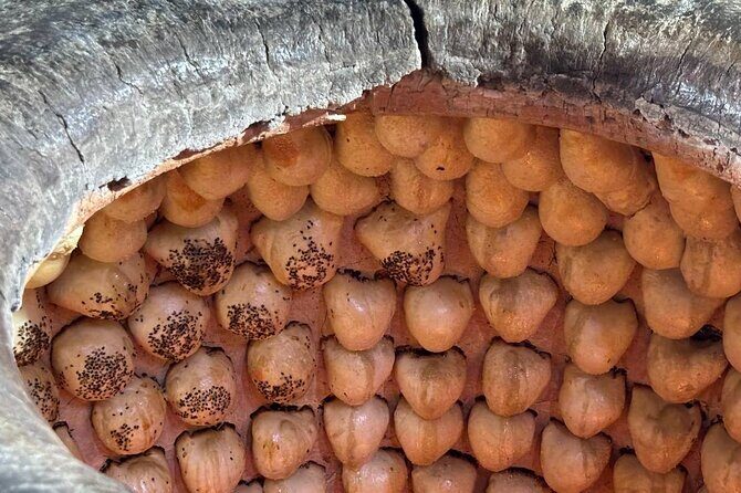 Food tour in Tashkent - Key Points