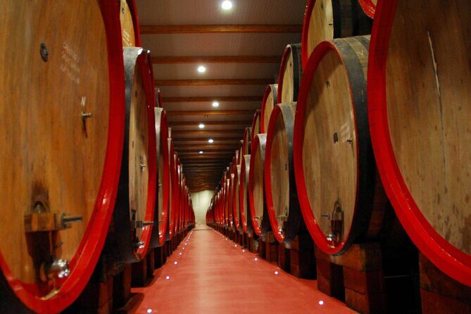 Food Tour: Parmigiano, Balsamic, Red Wine, lunch,transport - Who Will Love This Tour?
